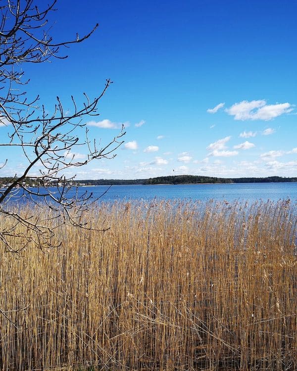 Rönningesjön från Näsbypark, Täby