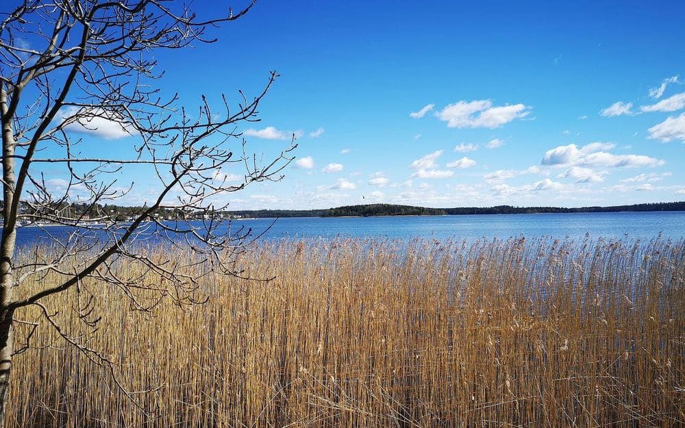 Rönningesjön från Näsbypark, Täby